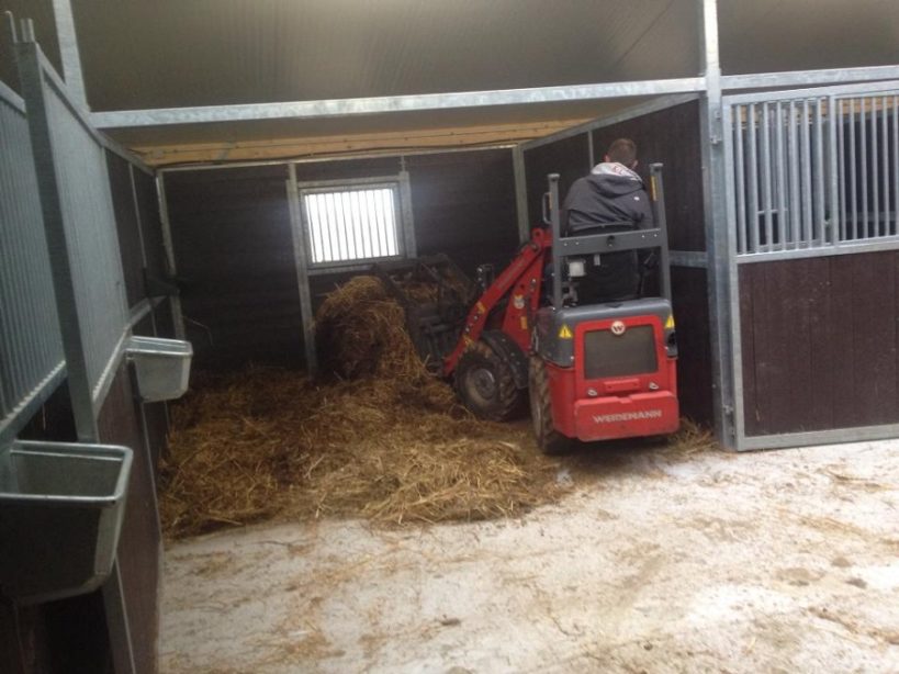 Barns Chevaux Cheval Habitat