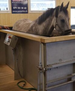 Aquatrainer pour chevaux