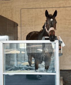 Cheval habitat aquatrainer Equishape