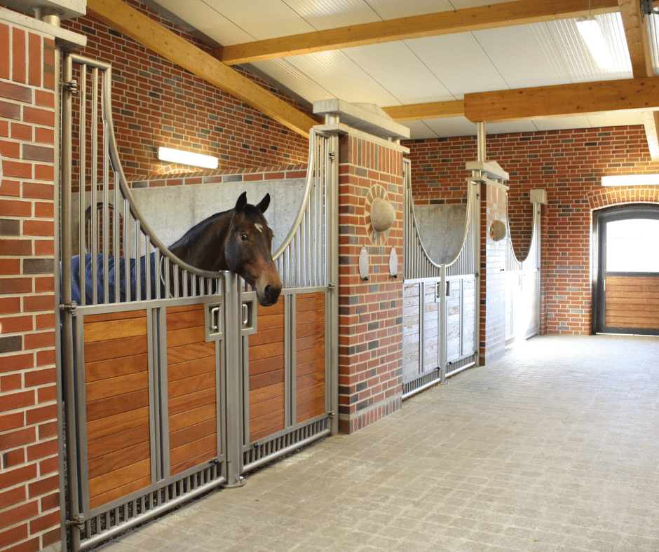 Box pour chevaux