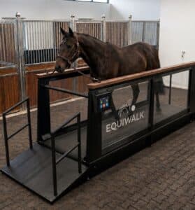tapis de marche pour chevaux equiwalk