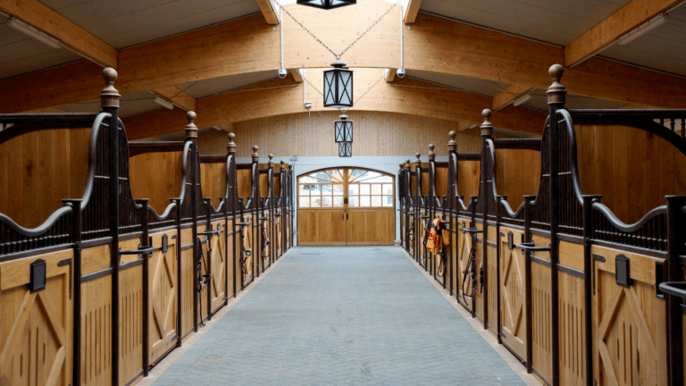 Box cheval, box chevaux
