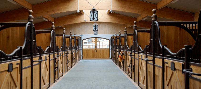 Box cheval, box chevaux